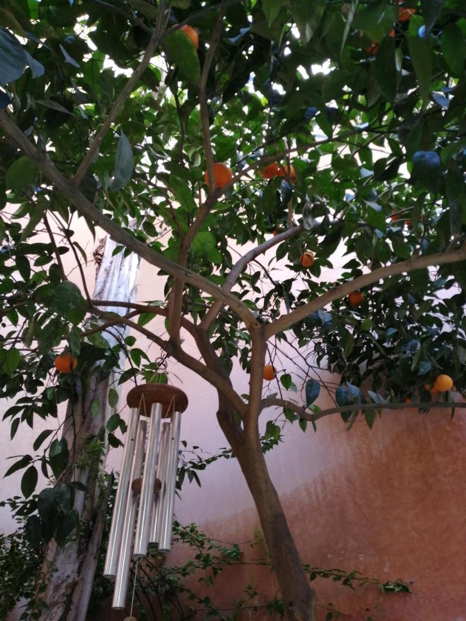 Les Bains De Fez Tara Bed and Breakfast Buitenkant foto
